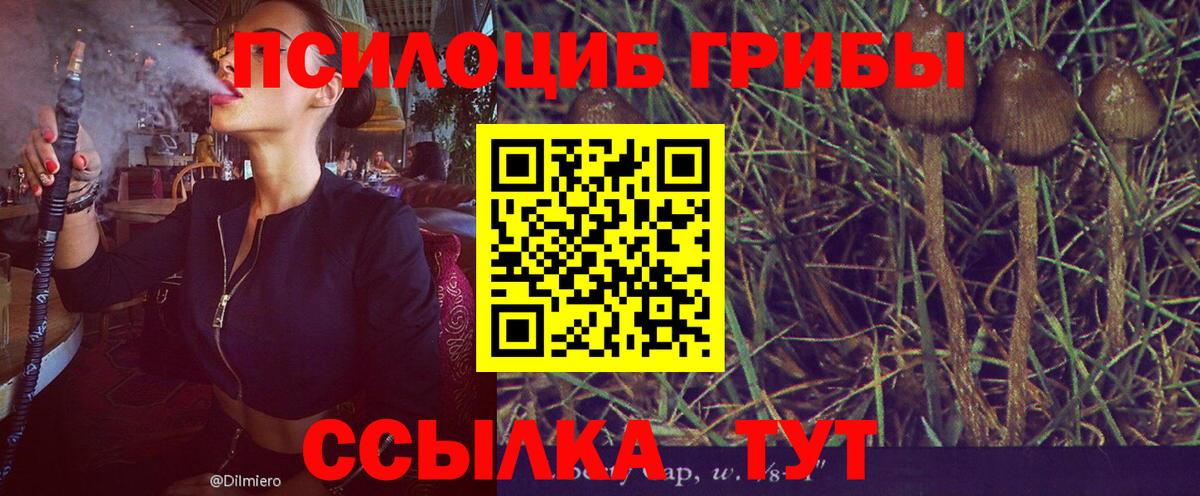 Псилоцибиновые грибы Magic Shrooms  Галлюциногенные грибы Magic Shrooms  Вход с VPN  Краснознаменск 