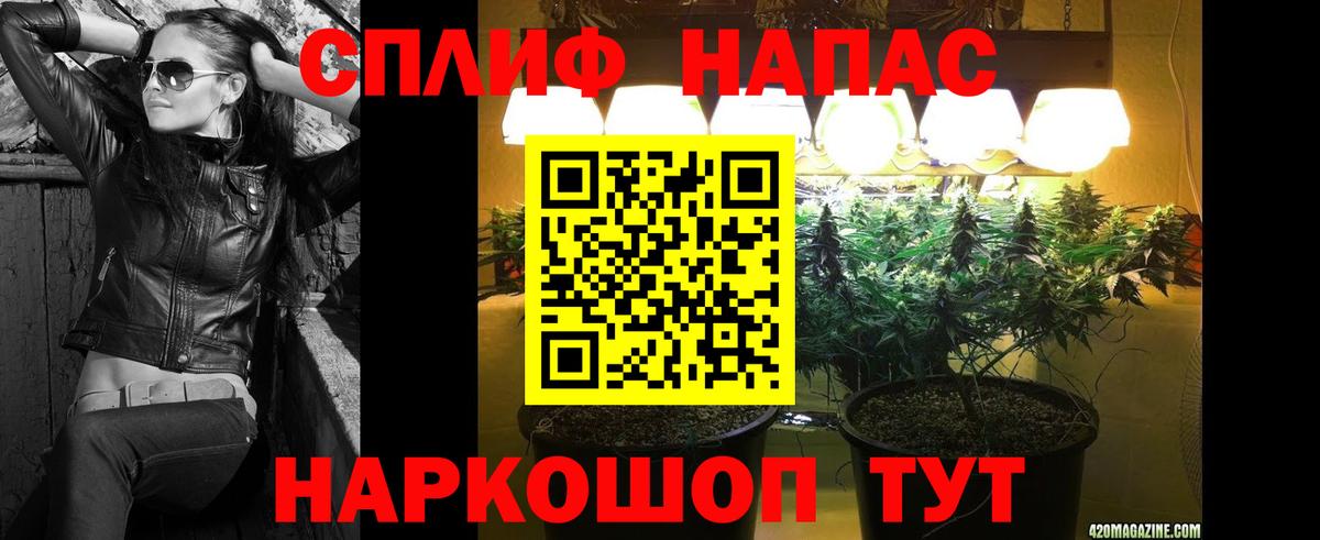 Бошки марихуана индика  Шишки марихуана сатива  Вход с VPN  Канабис семена  Краснознаменск 